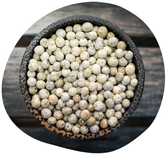 Kampotský pepř   (1200 x 628 px) (5)